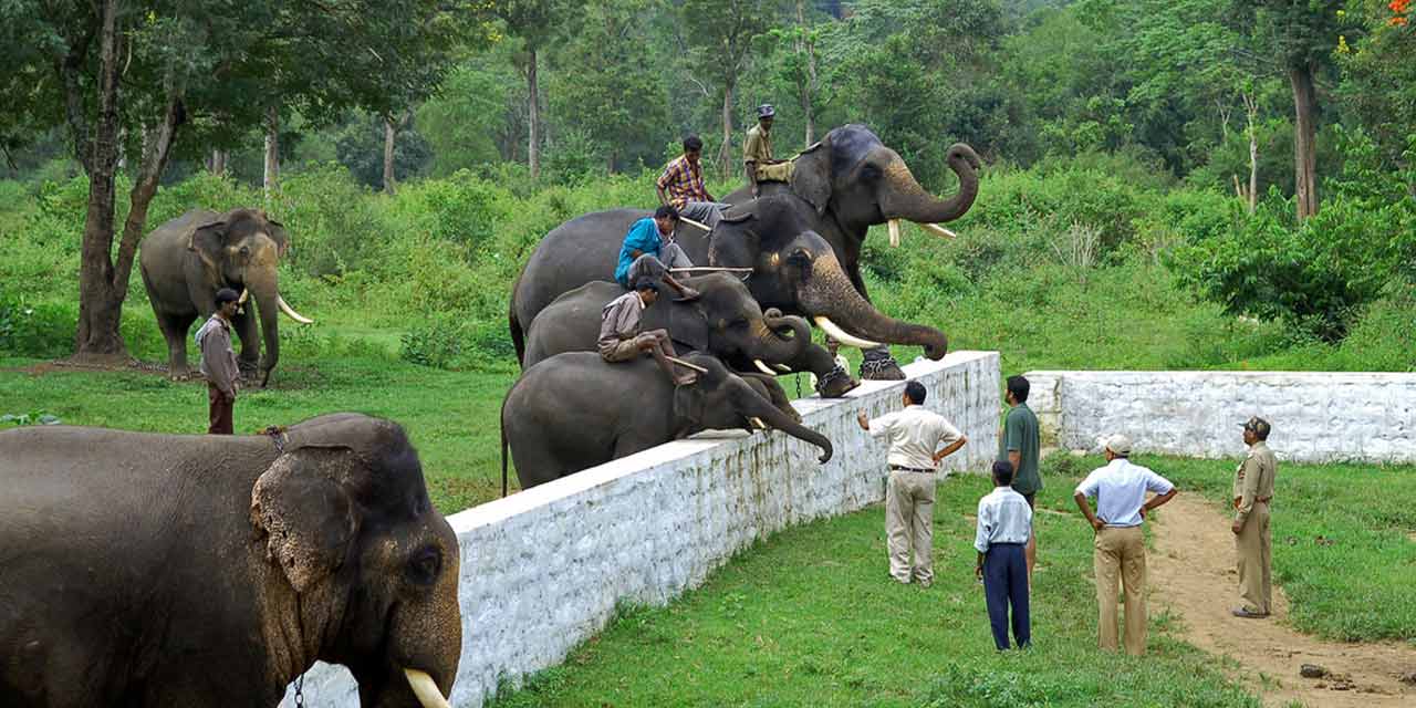 Mysore & Coorg Tour Package