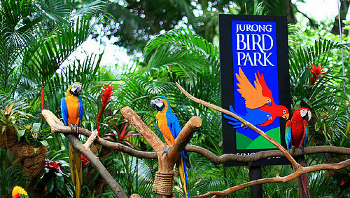 Singapore Tour Package