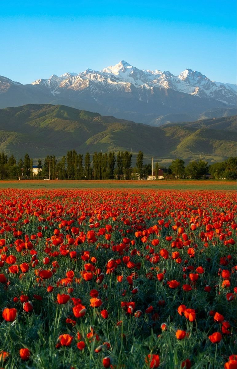 Kazakhstan Tour Package