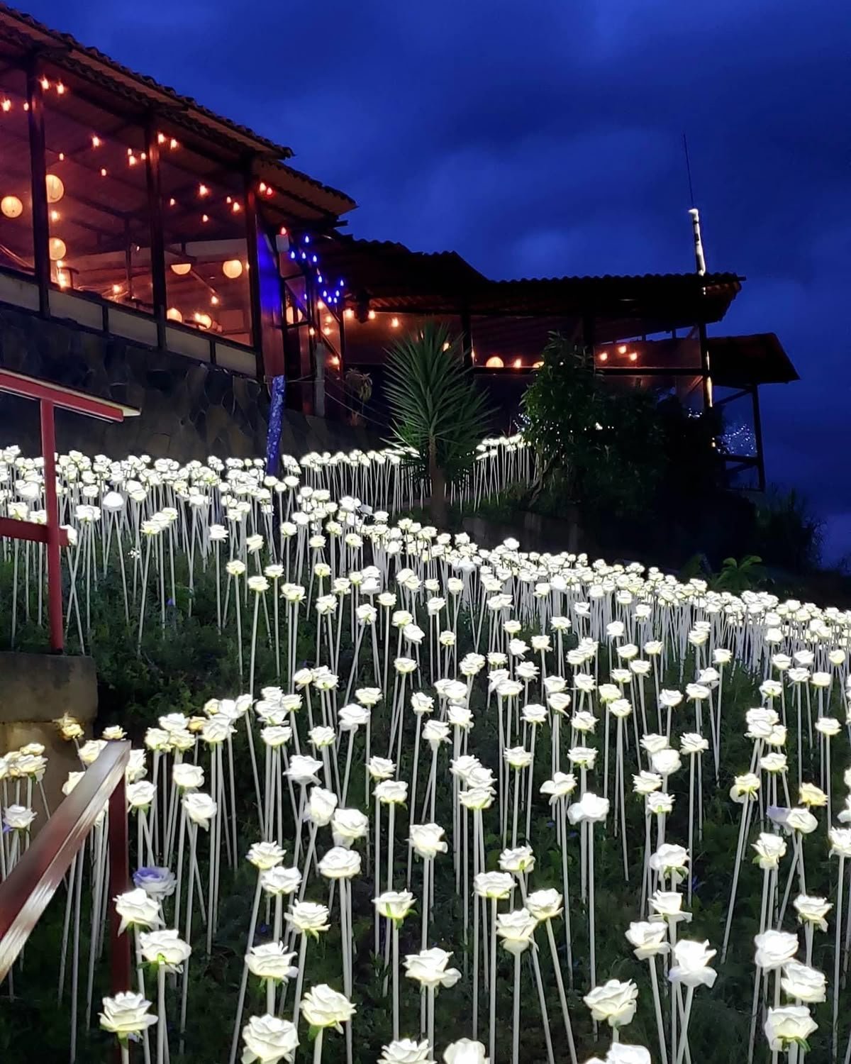 Philippines (Manila, Boracay, Cebu) Tour Package